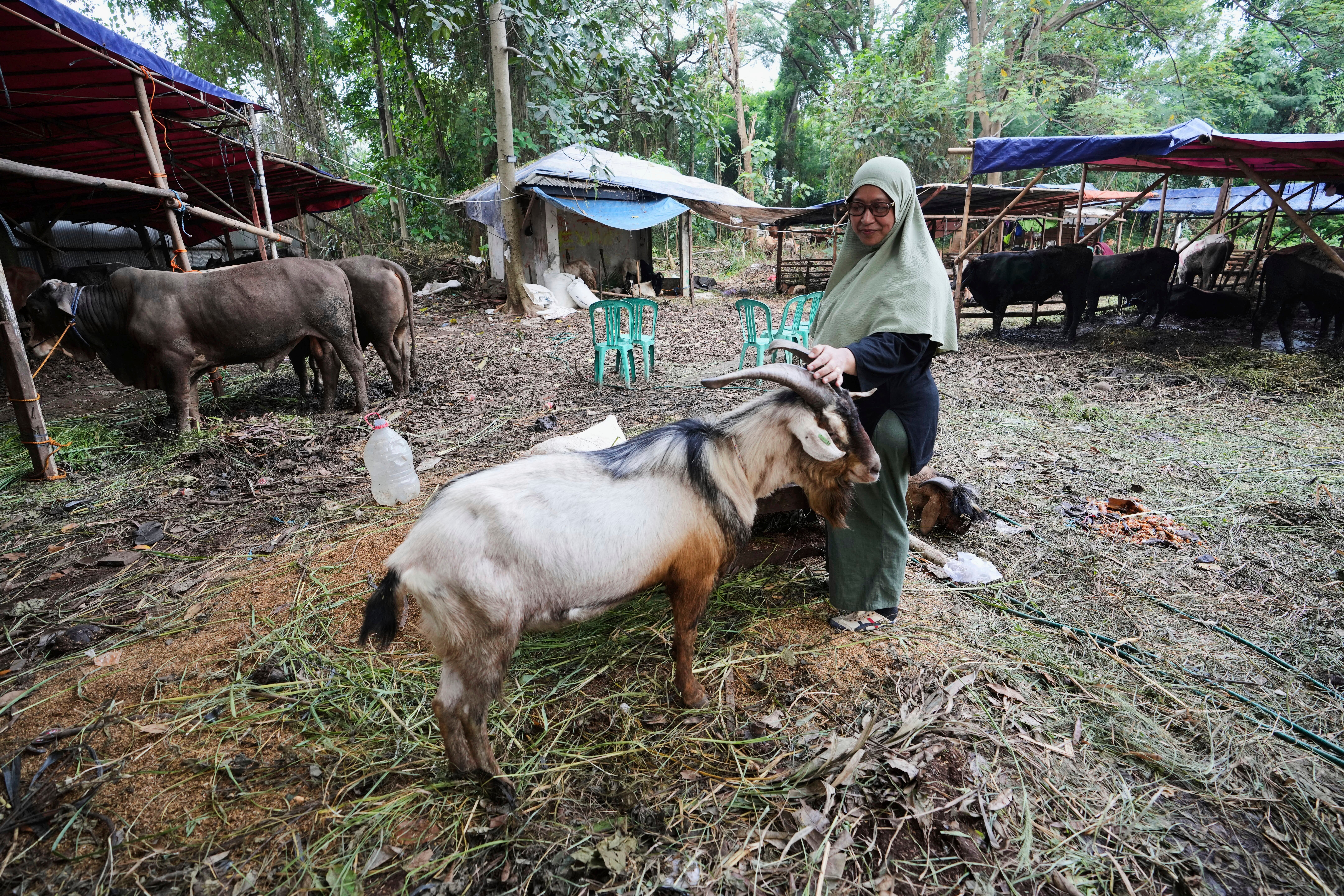 Indonesia Eid al-Adha Photo Gallery