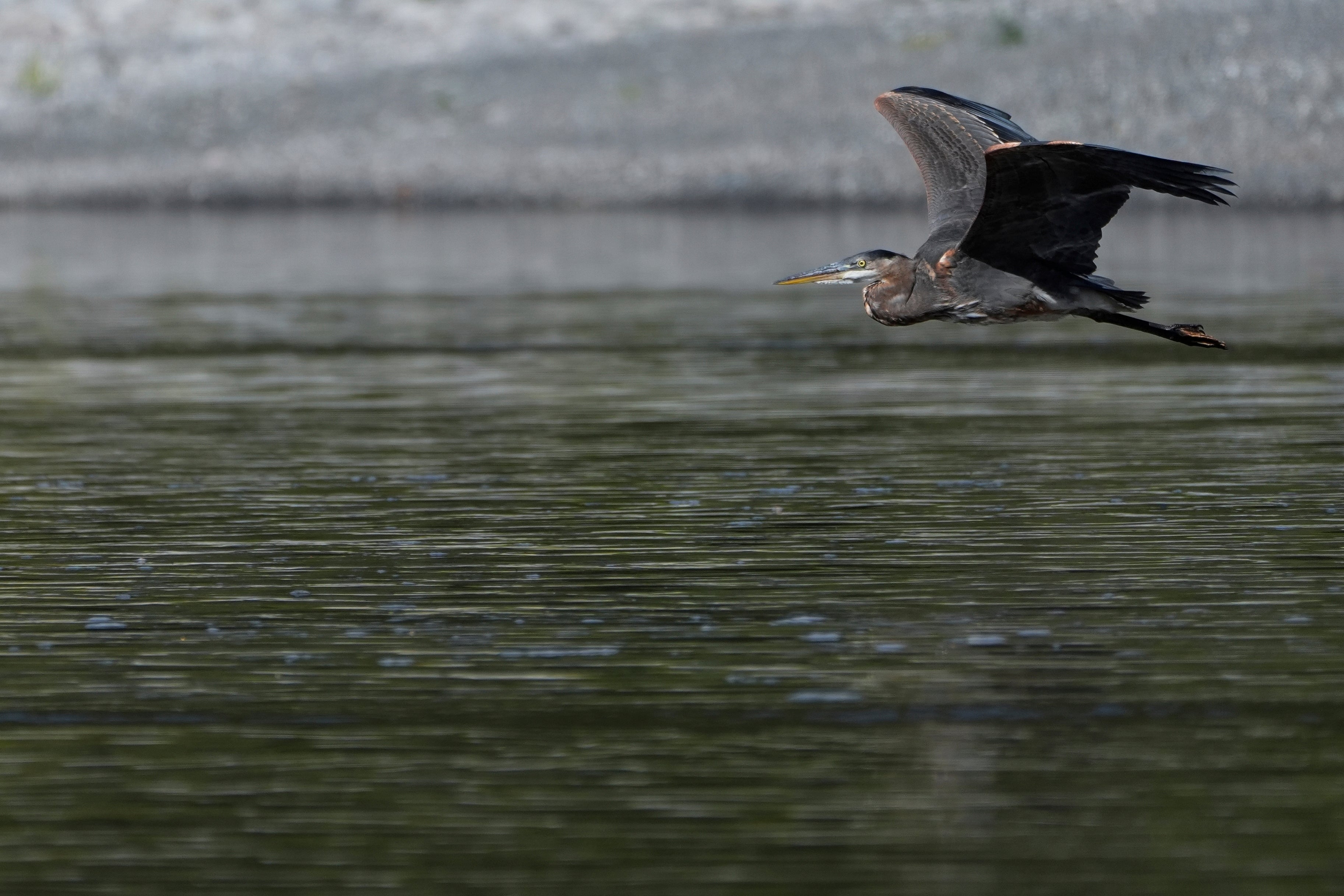 Climate California Tribe Land Back