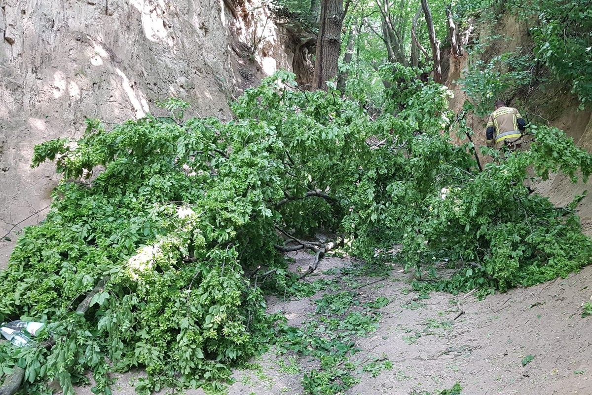 Several children injured on school trip after huge branch falls from tree in Polish gorge