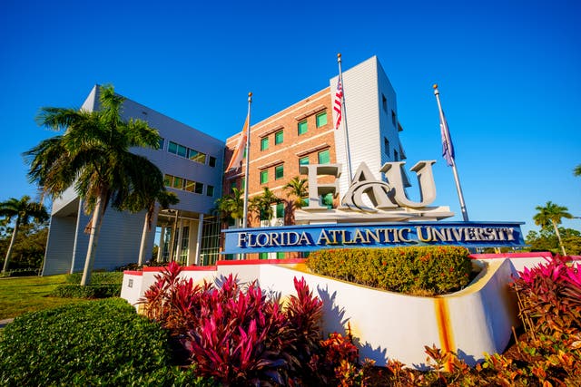 <p>Florida Atlantic University in Boca Raton, Florida</p>