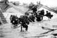 Churchill documents reveal D-Day landings boosted by import of ‘wonder drug’ from America