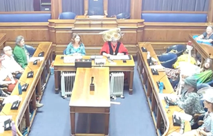 Nature campaigners in animal costumes take over council session