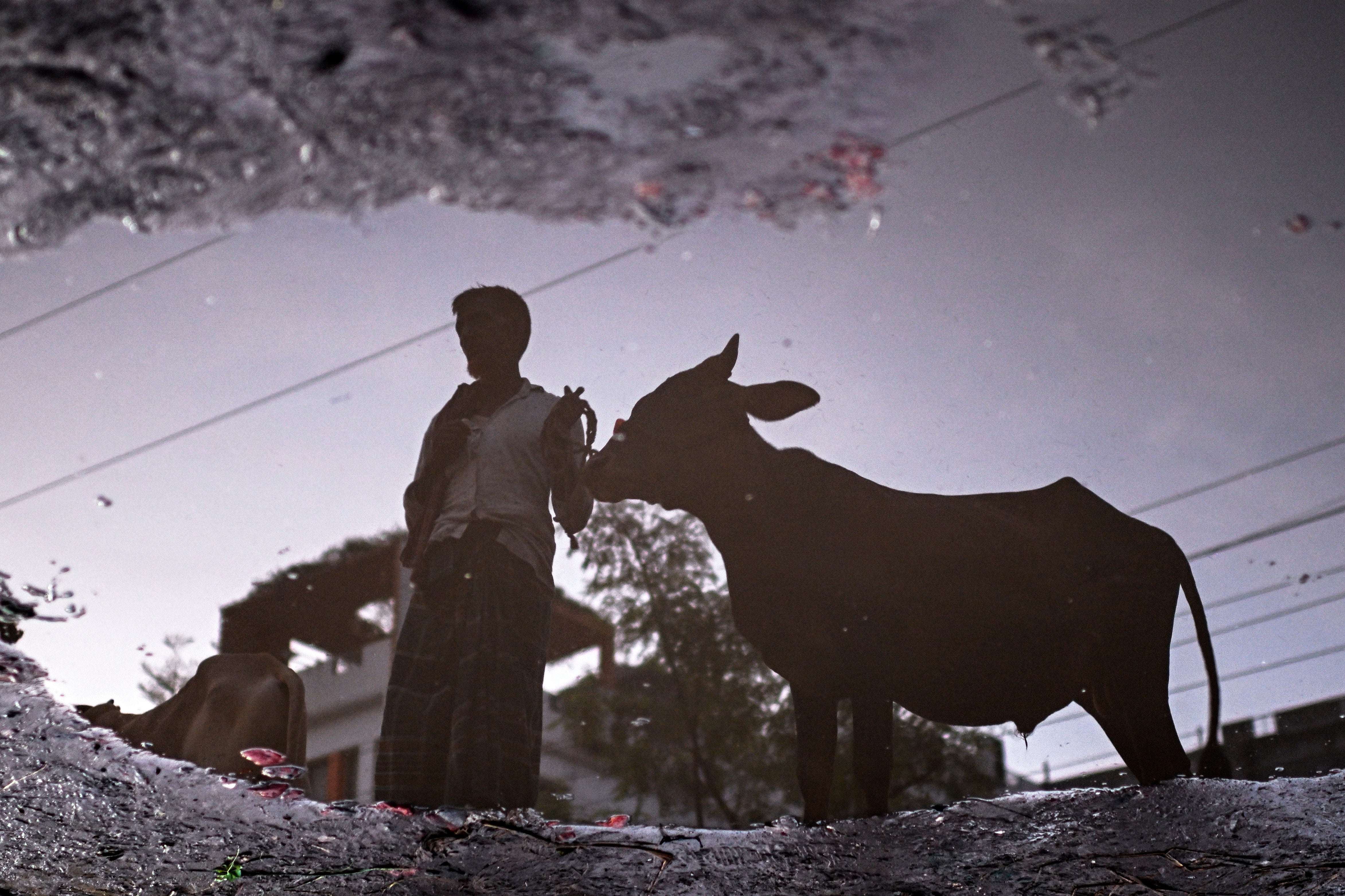 Bangladesh Eid al Adha
