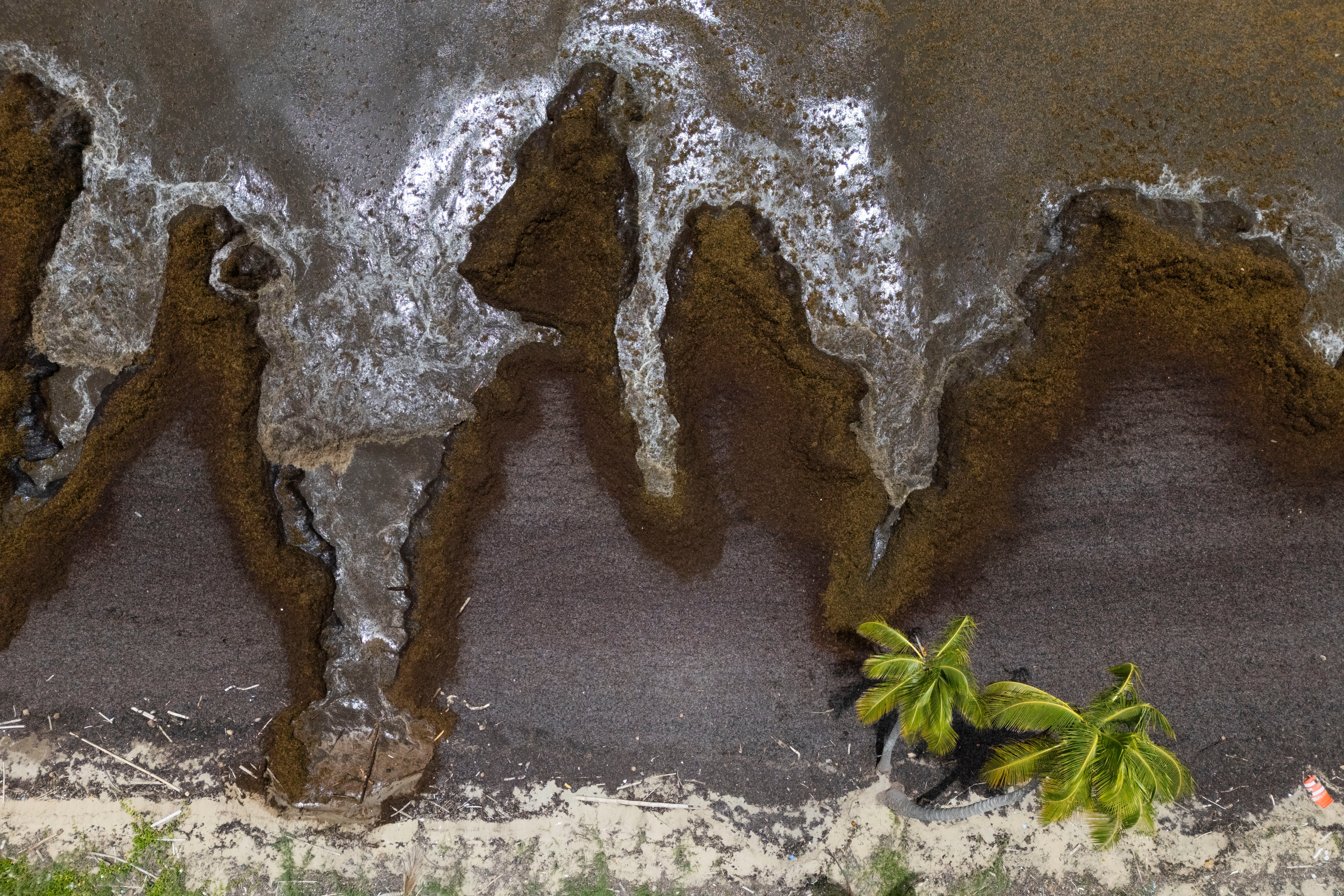 Pictures of the Week Latin America and Caribbean Photo Gallery