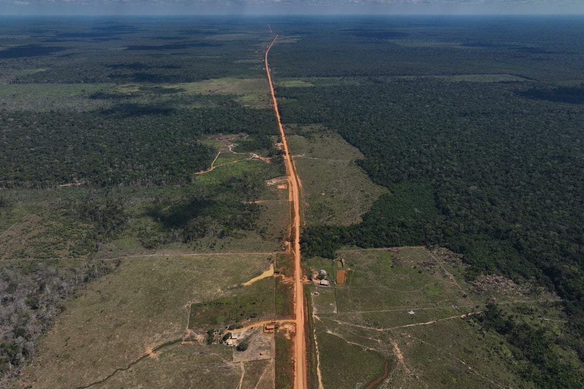 As UN climate talks loom, Brazil's Amazon forest loses in May an area larger than NYC
