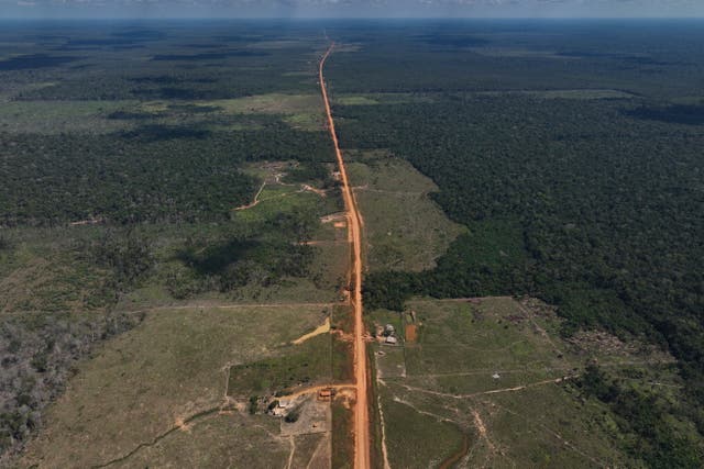 Brazil Amazon Deforestation