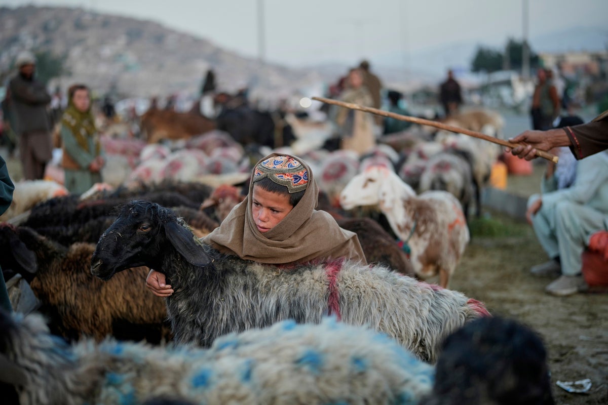 AP PHOTOS: Afghans mark Eid al-Adha on its third year since the return of the Taliban