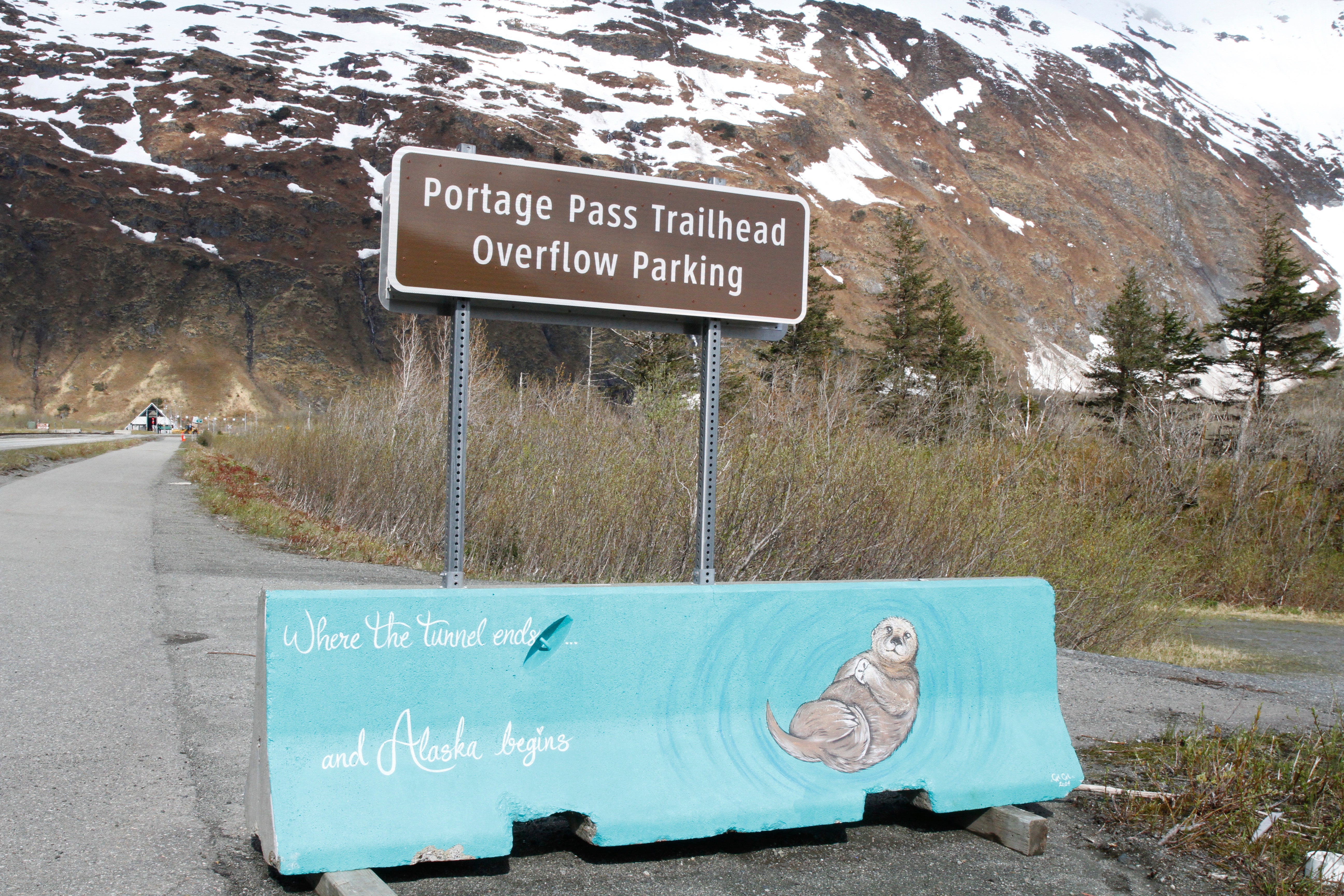 Voting American Samoans