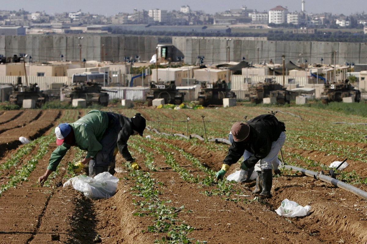 Why so many Thai nationals are among the hostages held by Hamas in Gaza