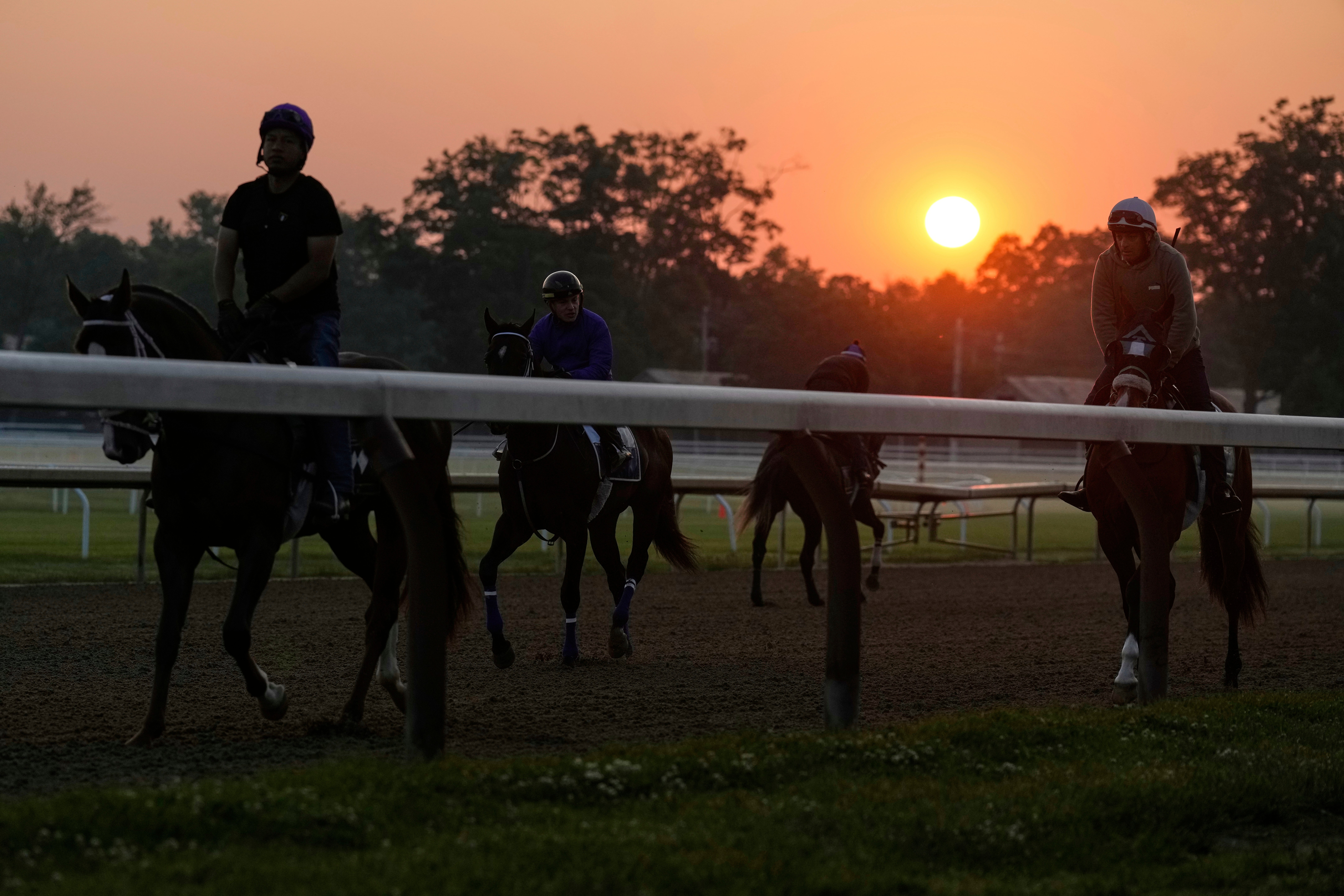 Belmont Horse Racing