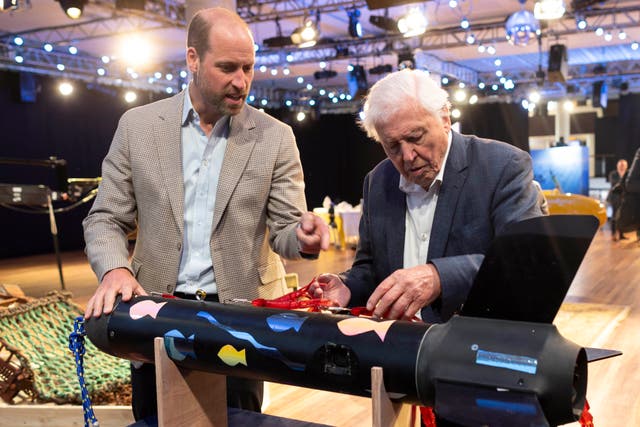 <p>Prince William & Sir David Attenborough Discuss the Importance of Ocean Protection</p>