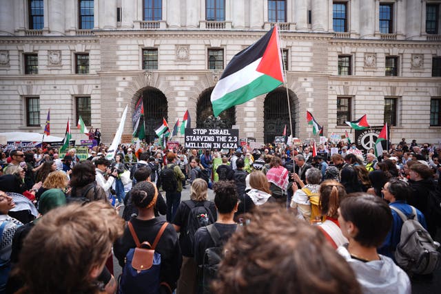 <p>A number of pro-Palestine demonstrations have taken place in London</p>