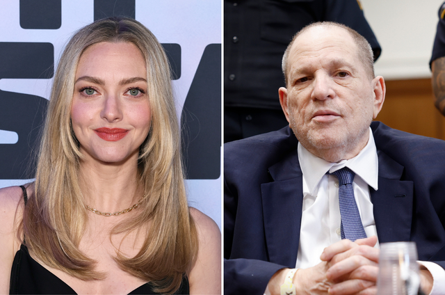 <p>Amanda Seyfried recalled giving Harvey Weinstein the 'biggest hug' when he told her he had purchased her 2013 documentary drama 'Lovelace'</p>