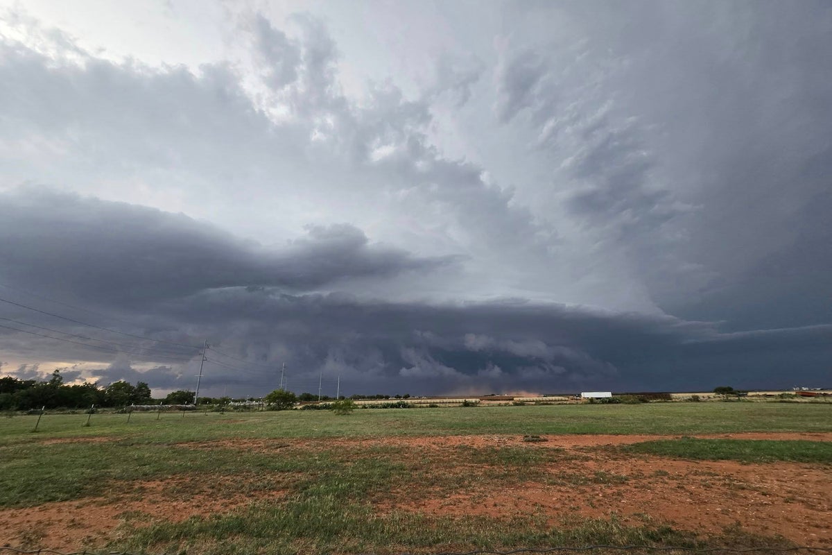 Two people killed by falling trees and thousands without power after storms sweep southern states