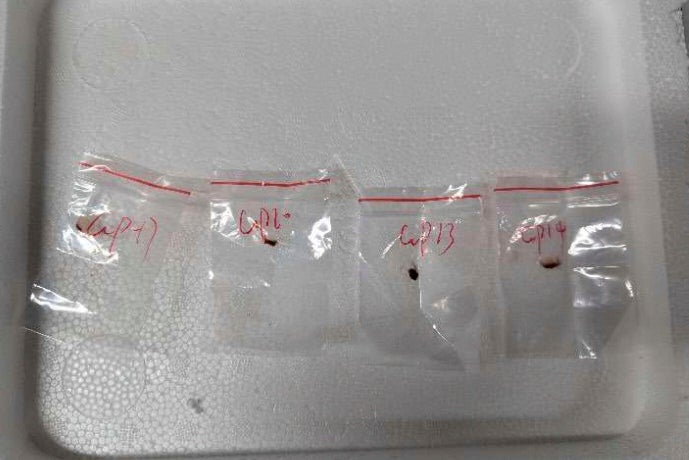 EEUU CIENTIFICA CHINA DETENIDA