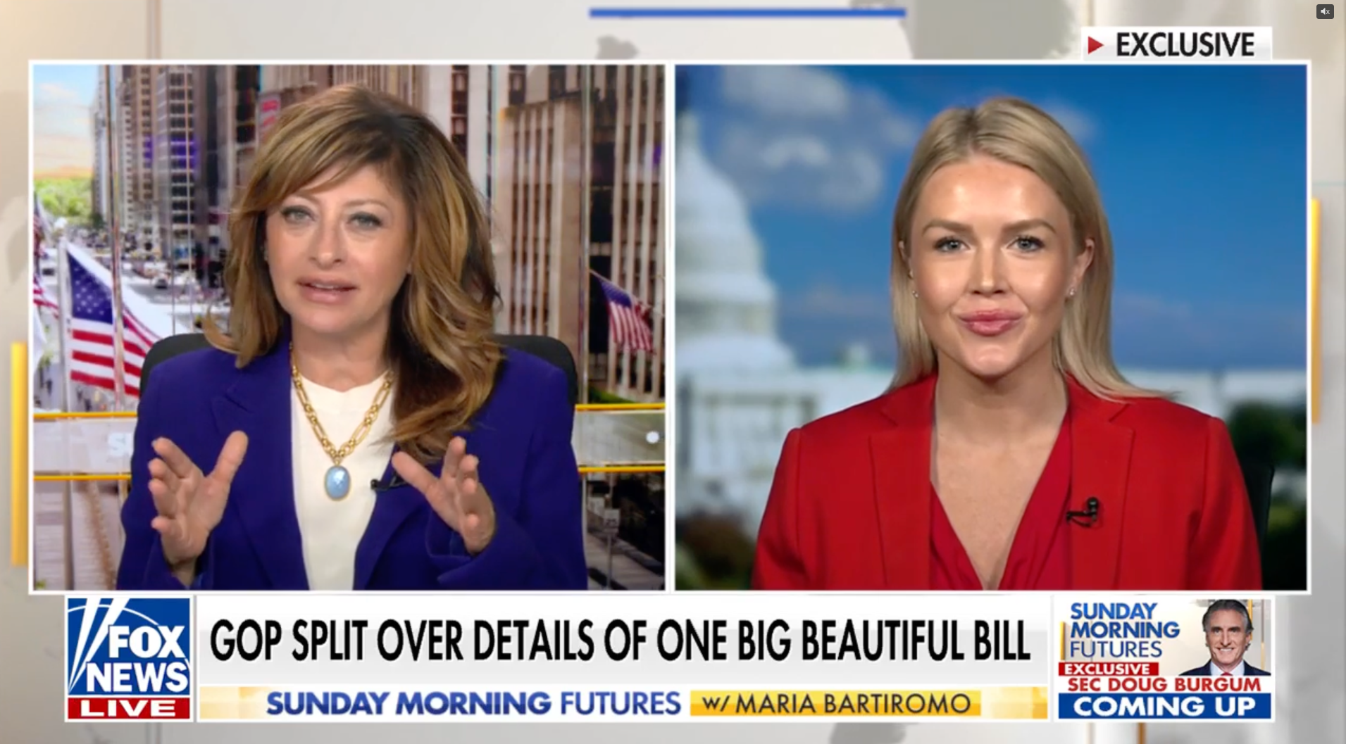 Karoline Leavitt pushed back on allegations of a physical brawl between Elon Musk and a senior government official
