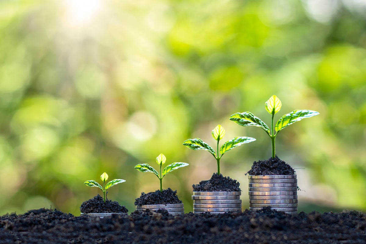 The wrong savings account could cost you hundreds in interest - here’s what you need to check