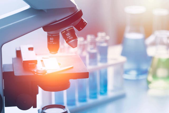 Some patients with Lynch syndrome may be missing out on vital testing, academics have said (Alamy/PA)