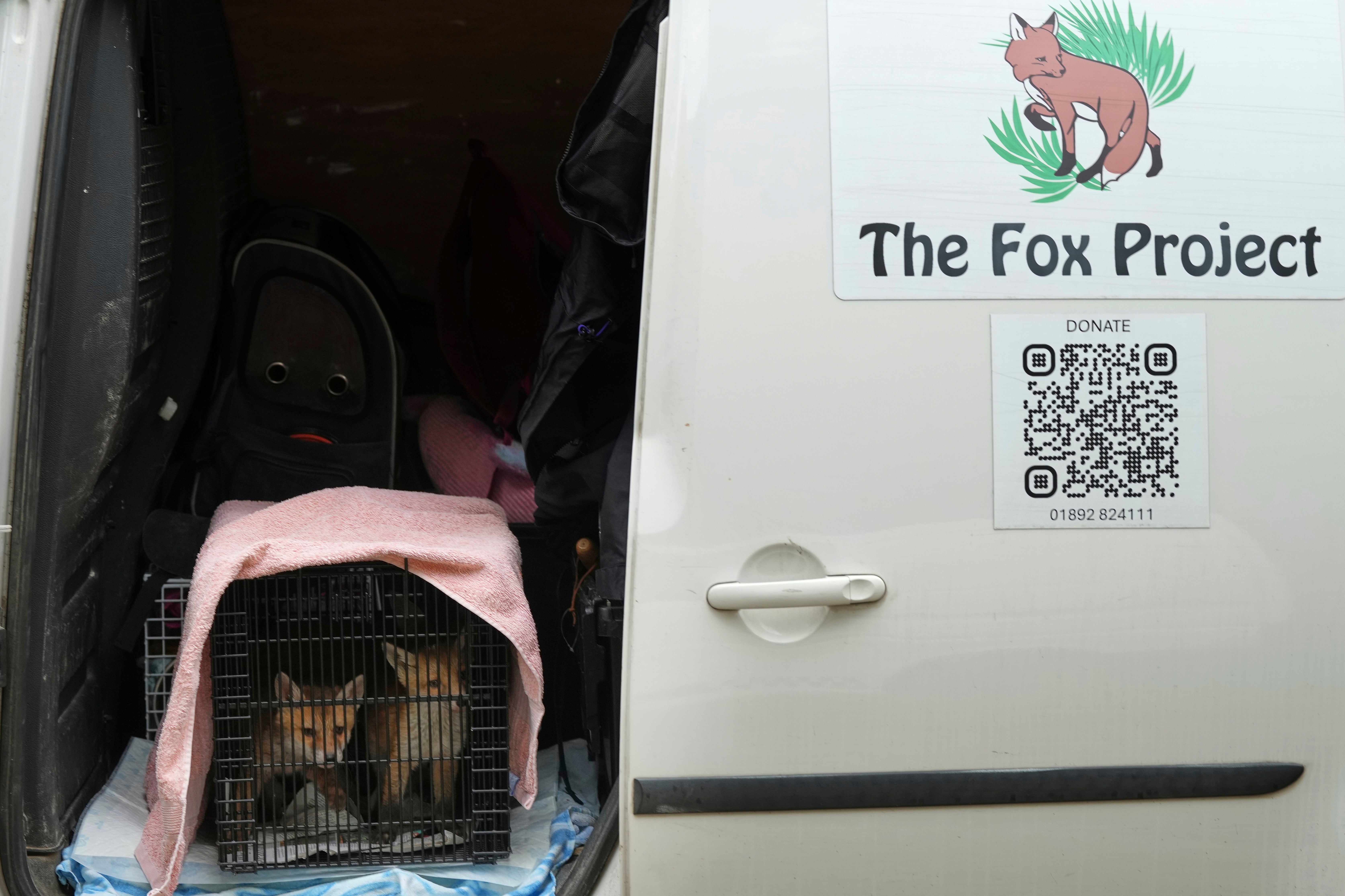 Britain Fox Rescue