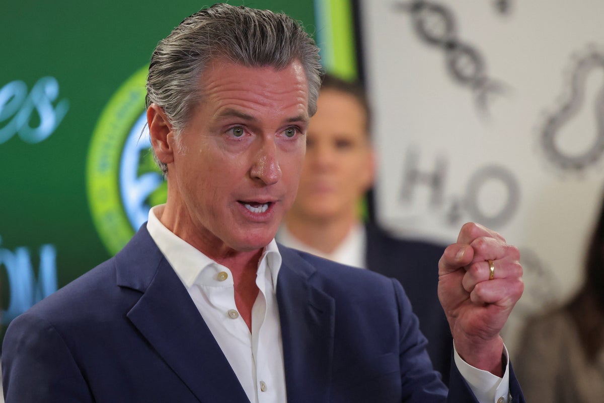 ‘He is unhinged, and he’s acting recklessly’: Newsom says two branches of government are already lost to ‘Trumpism’