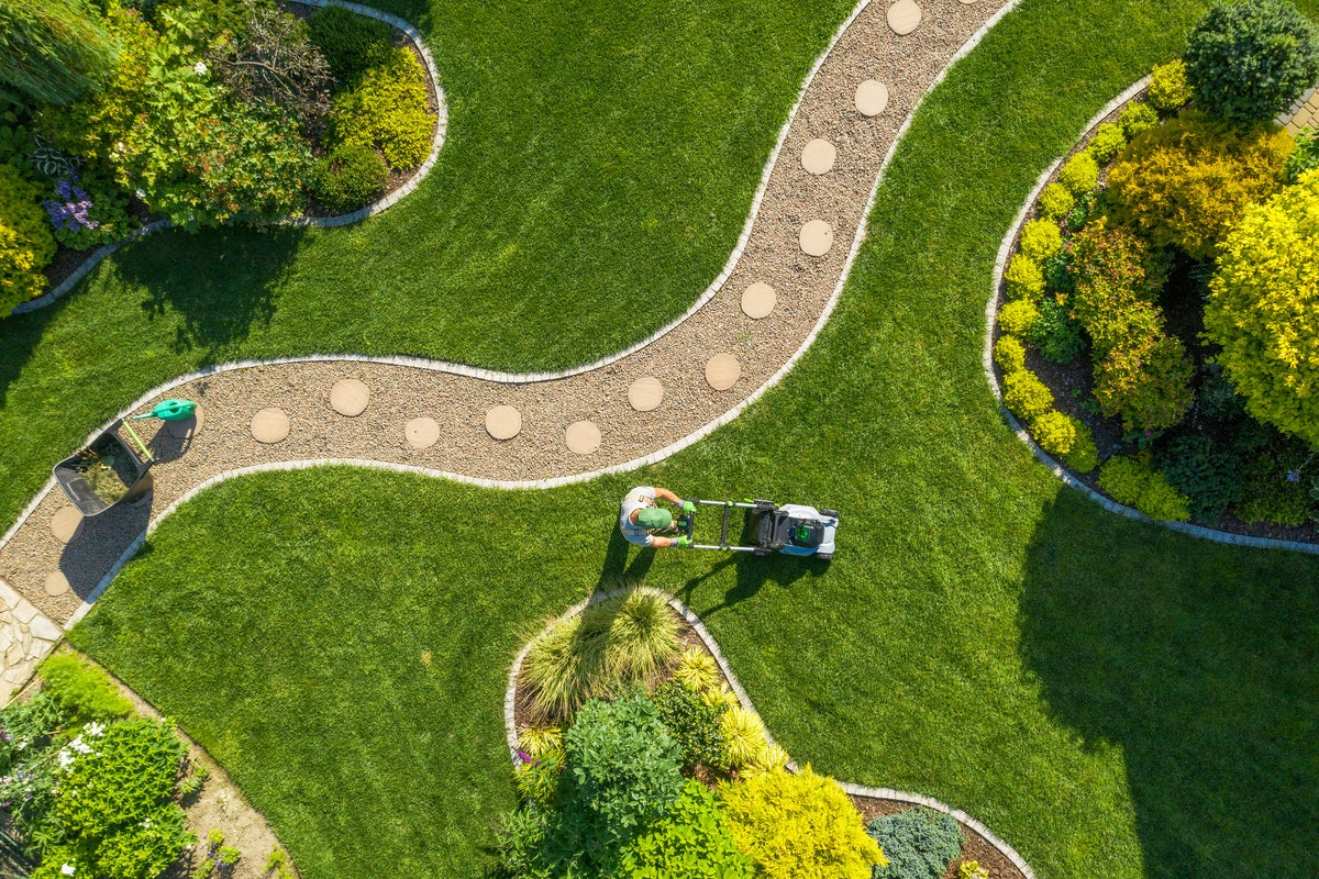 Looking for a lush lawn this summer? Expert reveals top ten tips