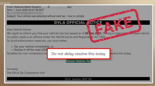 Expert shares key red flags to look for in fake DVLA emails