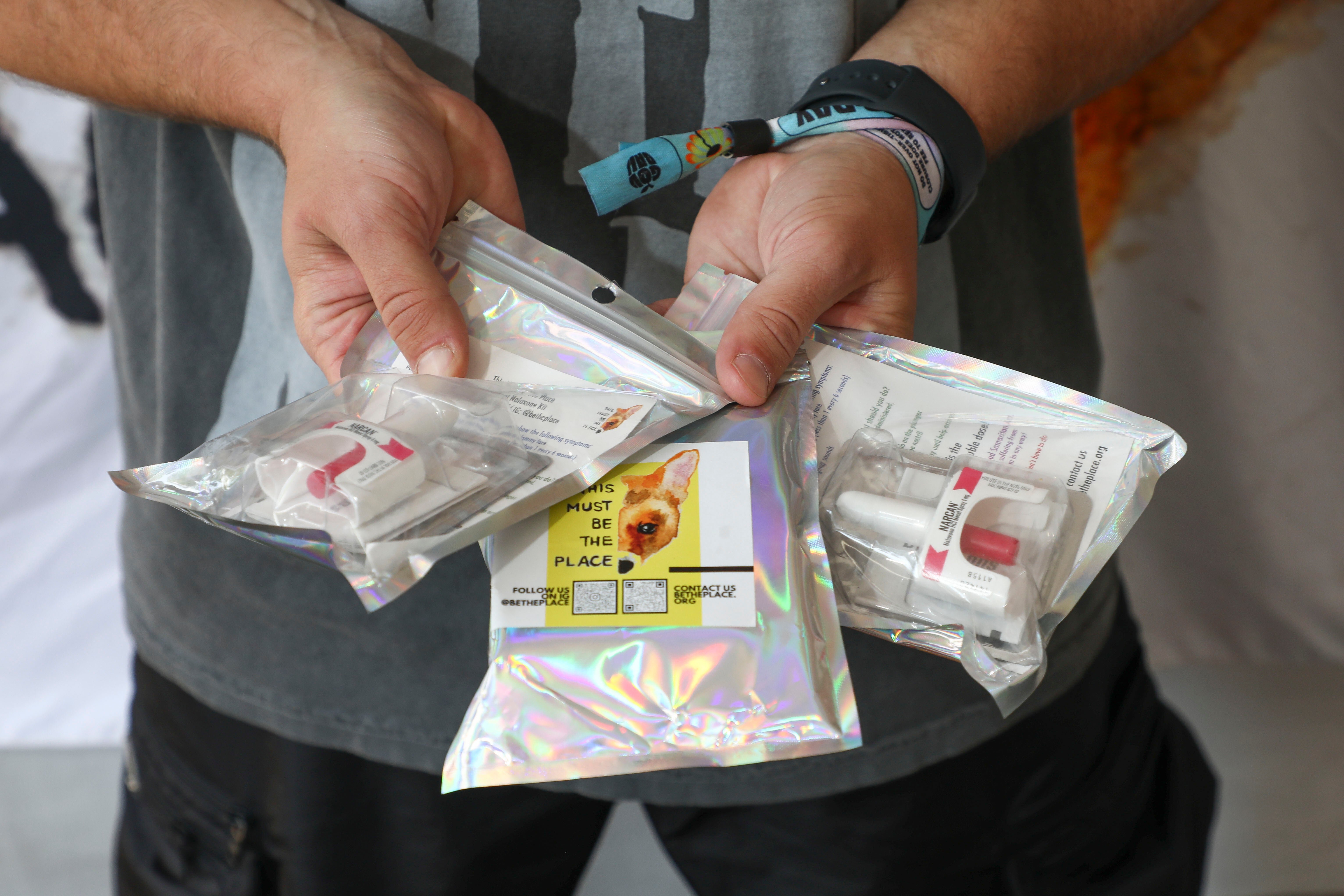 Music-Harm Reduction Festivals