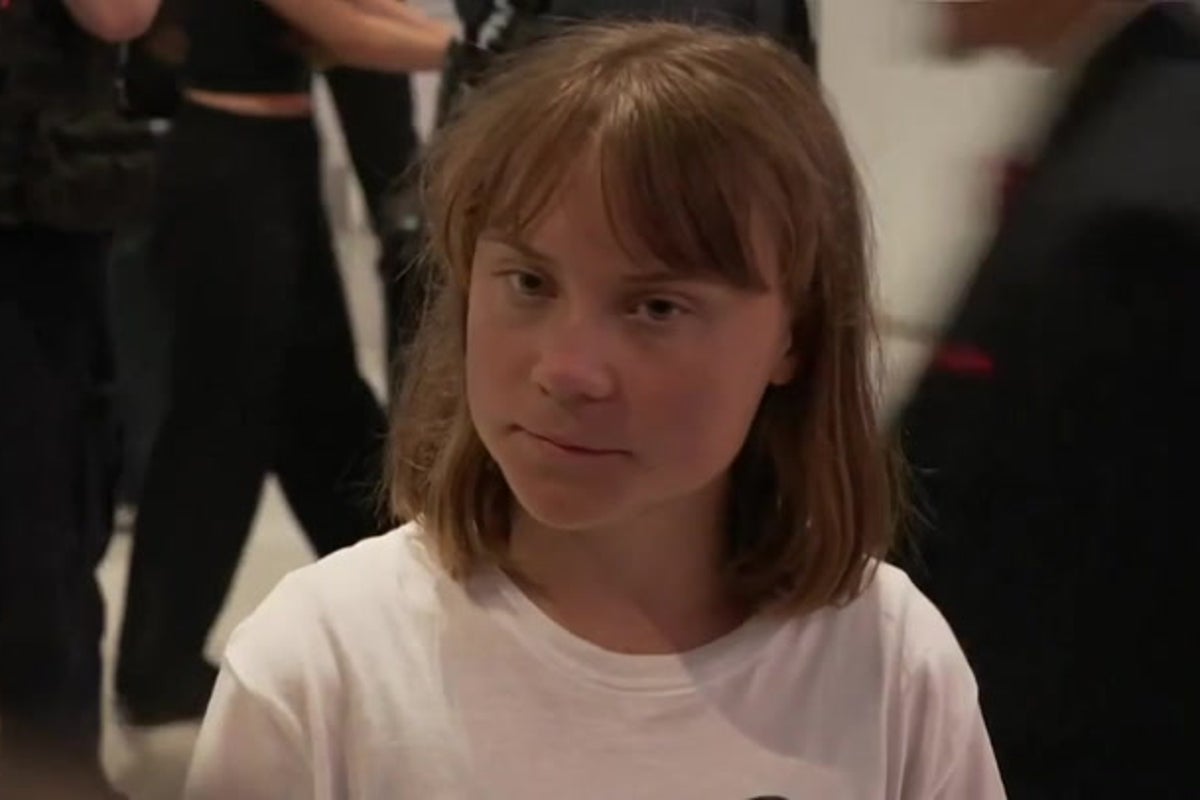Greta Thunberg says she was ‘kidnapped’ from Gaza aid boat by Israel