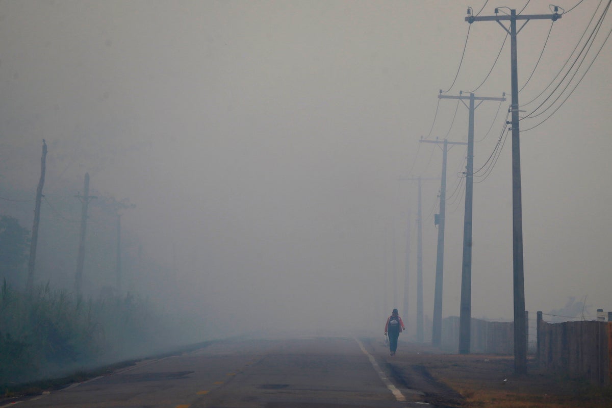Ahead of UN climate talks, Brazil fast-tracks oil and highway projects that threaten the Amazon