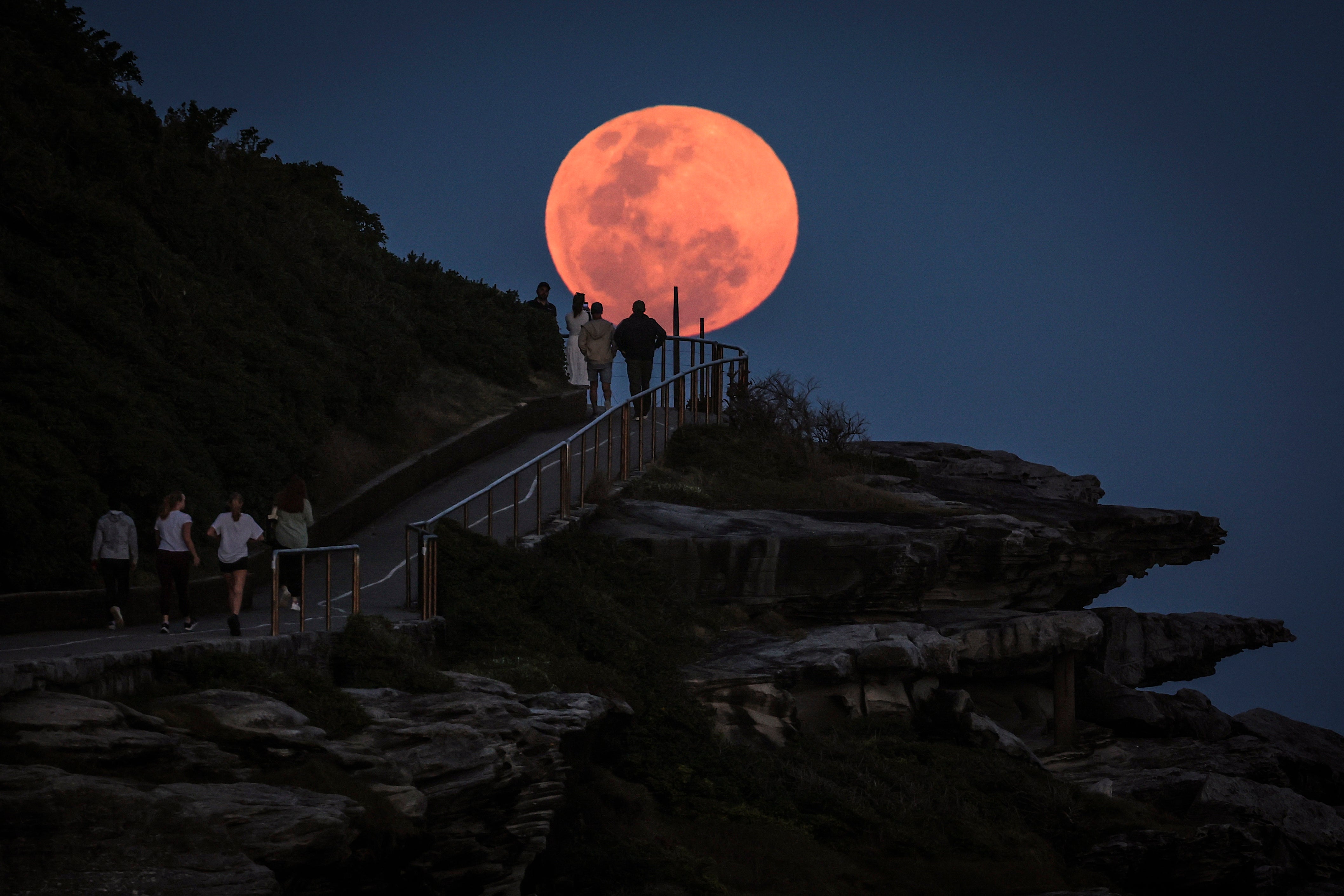 A Global Glimpse of the Enchanting Strawberry Moon