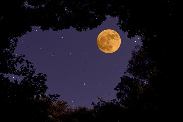 <p>The name "Strawberry Moon" comes from its appearance during the harvesting season for strawberries, not its colour</p>