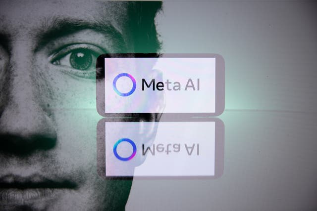 <p>Mark Zuckerberg’s company is spending billions on AI infrastructure projects</p>