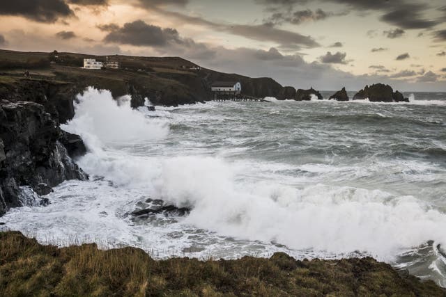The Government has announced that it will introduce a Bill to ratify the High Seas Treaty (Olly Scholey/Silverback Films/Open Planet Studios/PA)