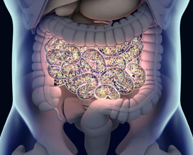 Early Signs of Appendix Cancer You Shouldn’t Ignore
