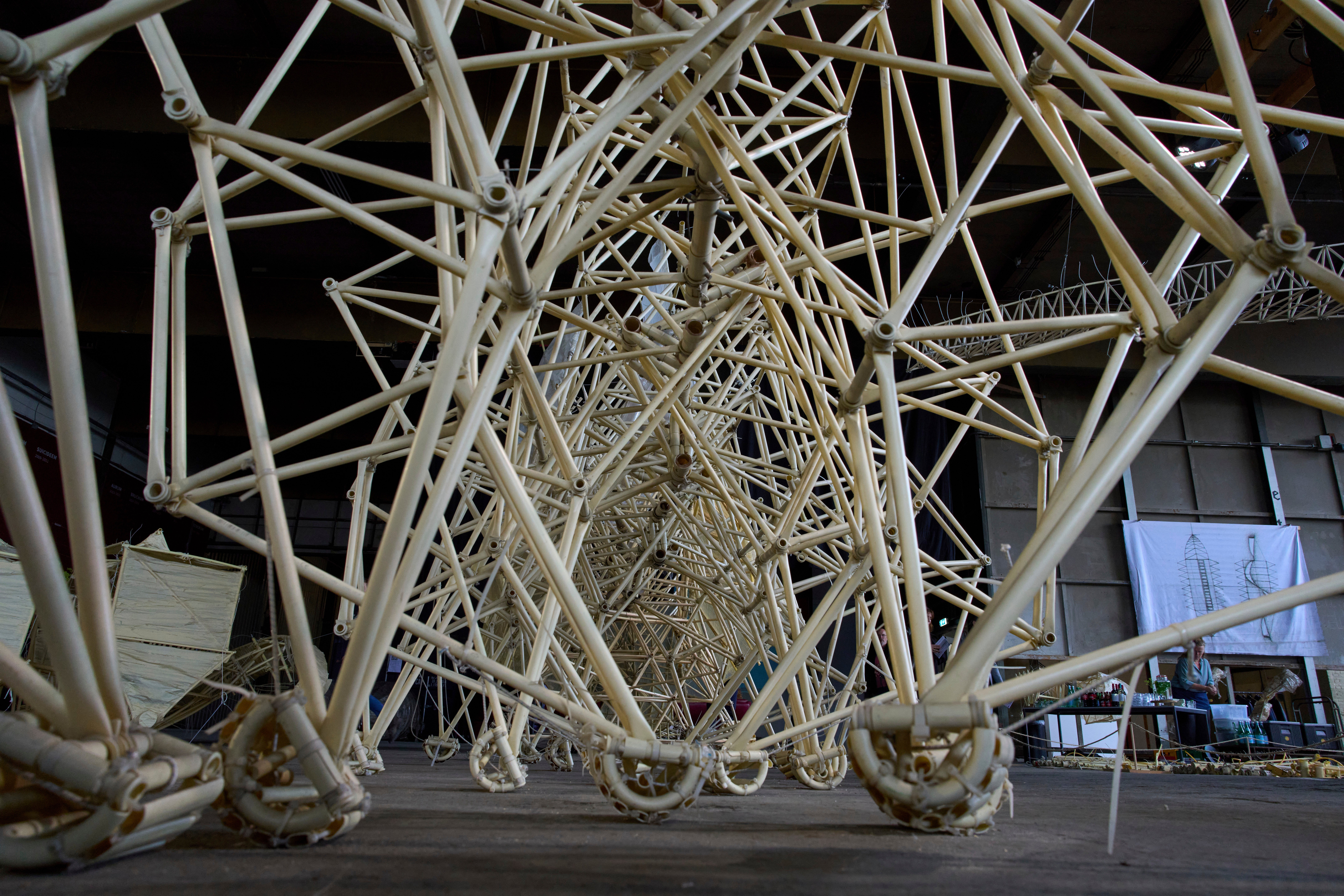 Netherlands Beach Beasts
