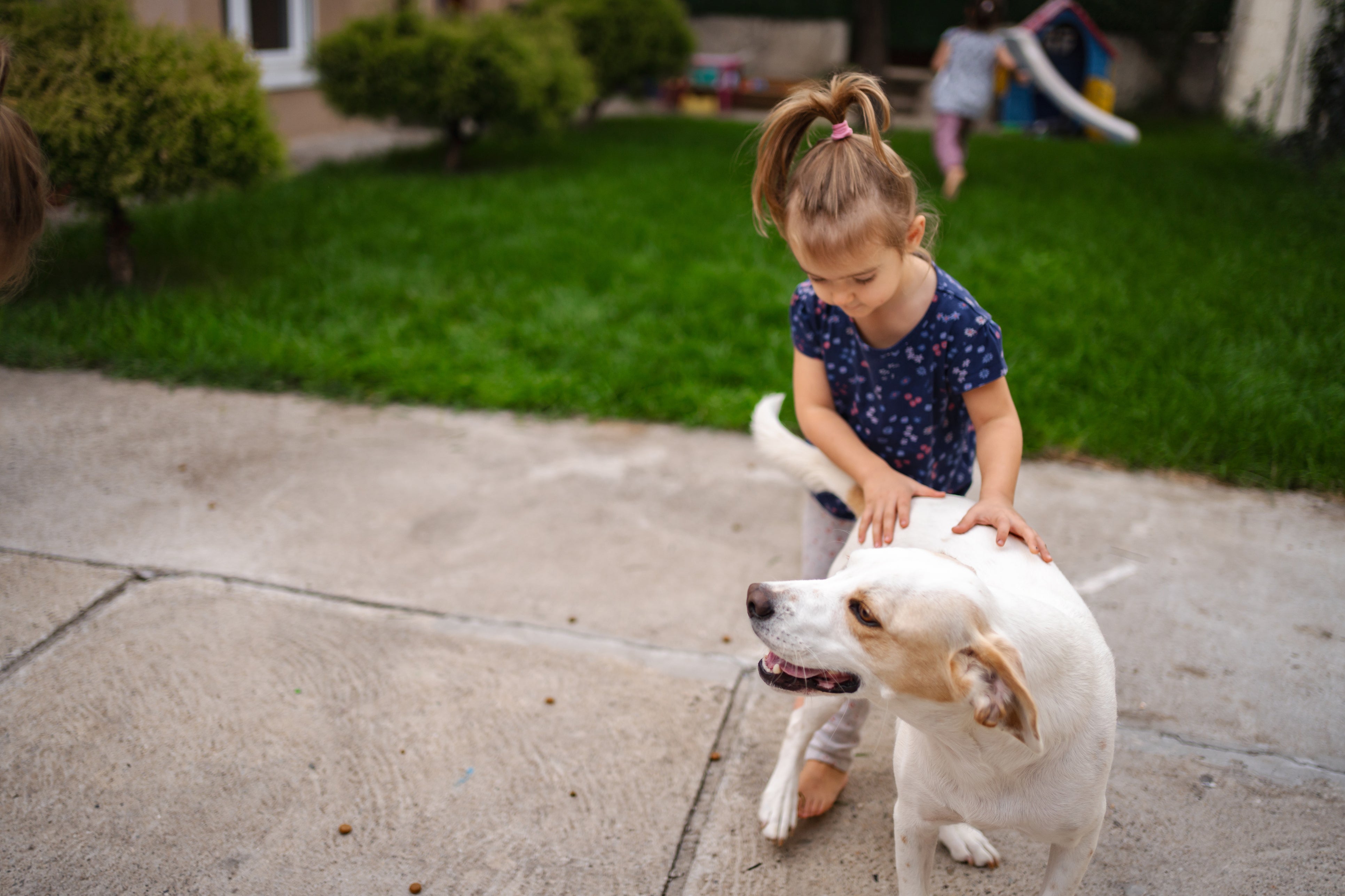 Keeping dogs near children is also of concern to ER doctors, with around two million children being bitten each year, according to the University of Rochester Medical Center