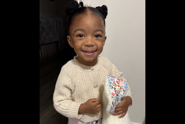 <p>Nola Dinkins, 3, has been missing in Newark, Delaware, since Tuesday evening. </p>
