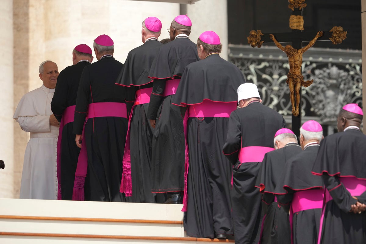 Pope Leo XIV names first Chinese bishop, signalling he is continuing Vatican's controversial accord