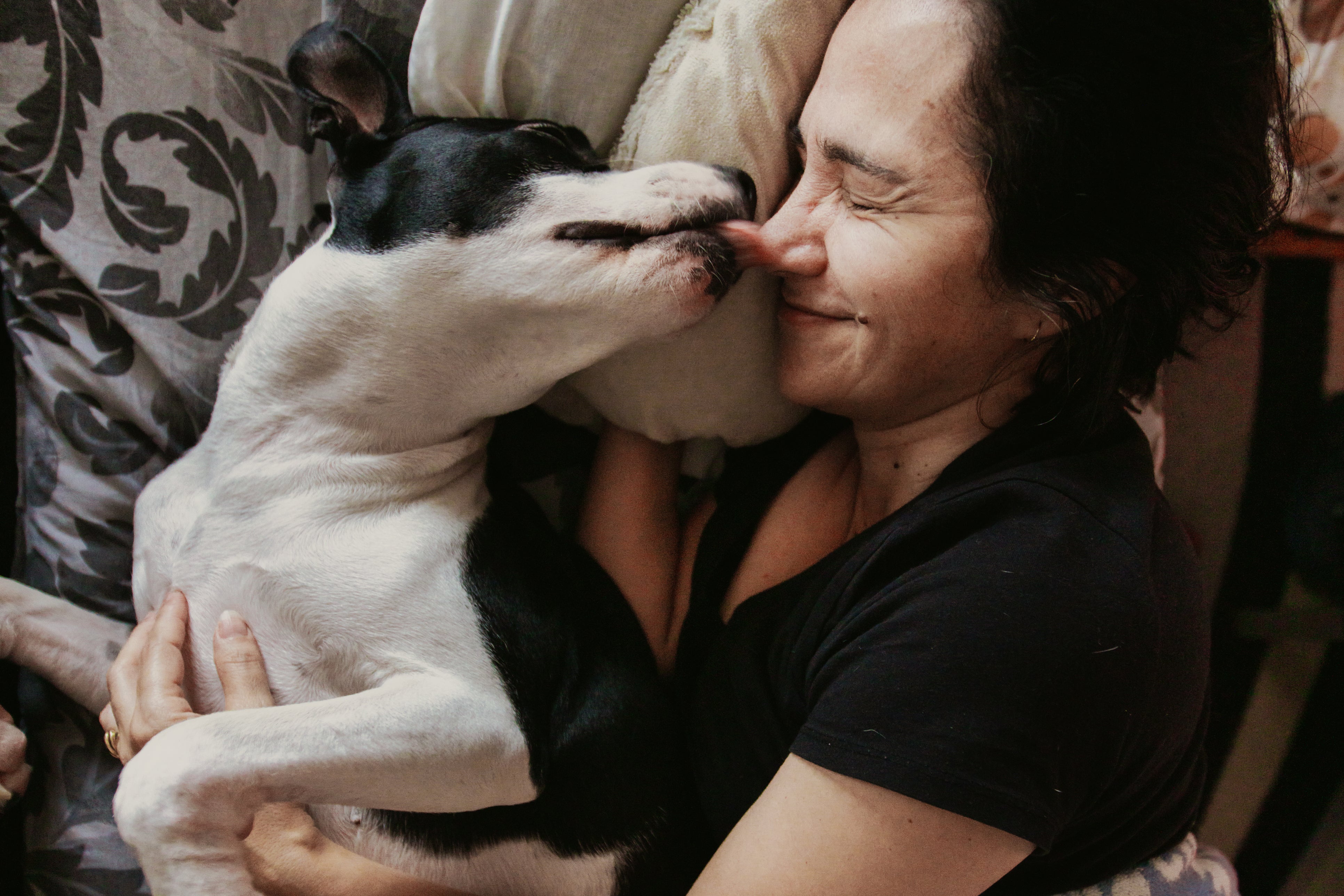 Dogs tend to be light sleepers and wake up multiple times in the night