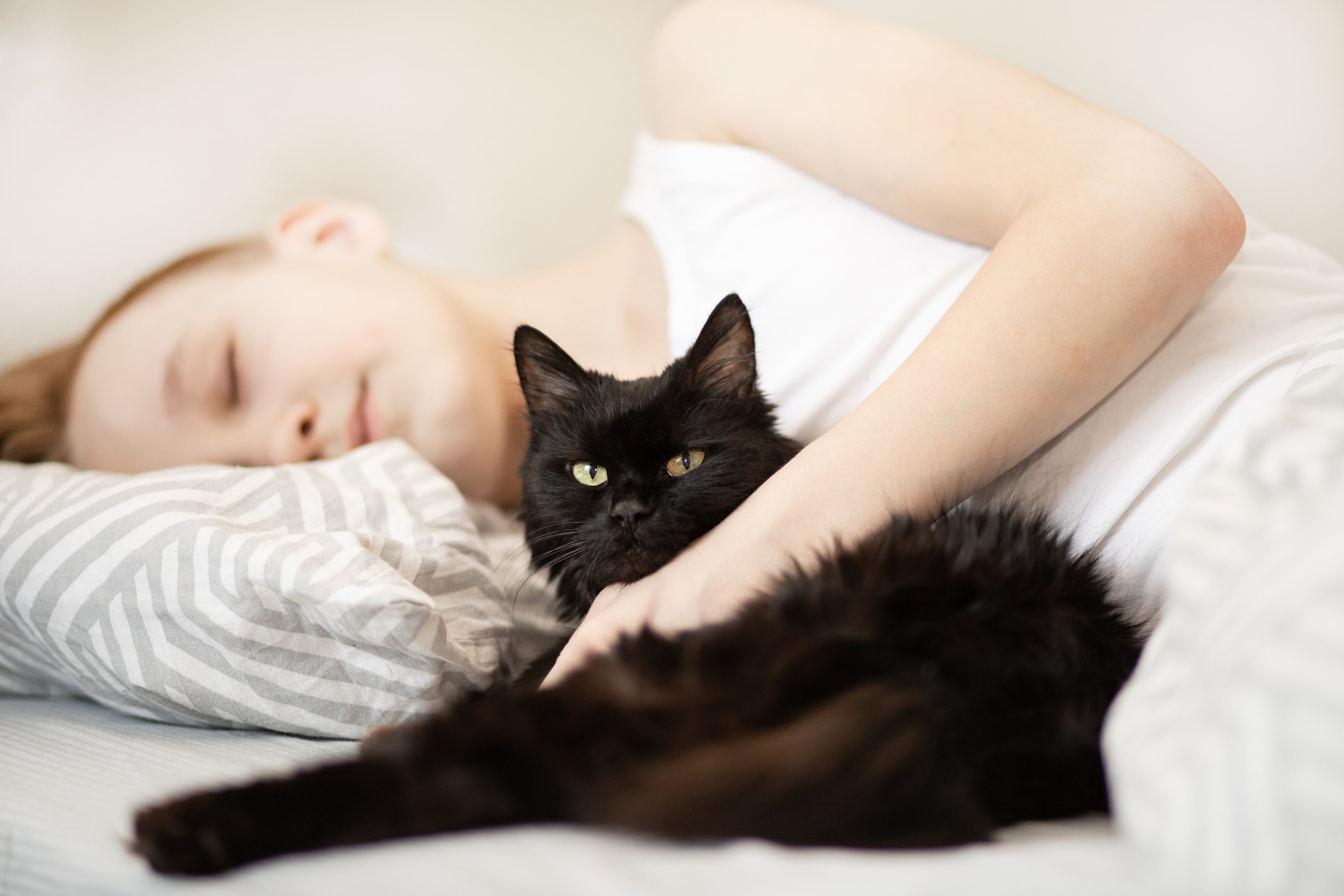 As many cat owners know, “the zoomies” often happen before they are ready to get out of bed.