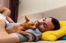 New study reveals surprising benefit of having a dog
