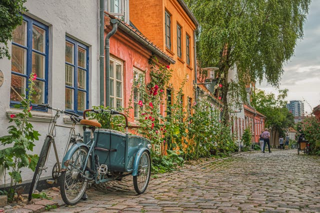 <p>Explore gloriously varied cities like Aarhus which boasts awe-inspiring galleries and museums, and a quaint old town</p>
