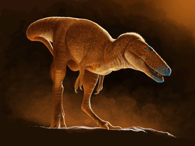 <p>A life reconstruction of the newly identified dinosaur species Khankhuuluu mongoliensis, which lived 86 million years ago in Mongolia.</p>