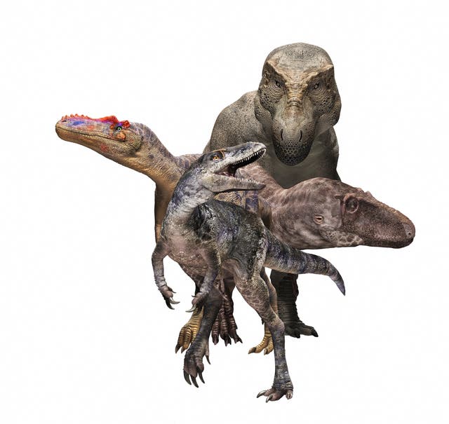 <p>The newly identified dinosaur species Khankhuuluu mongoliensis is seen in front of three of its evolutionary descendants</p>