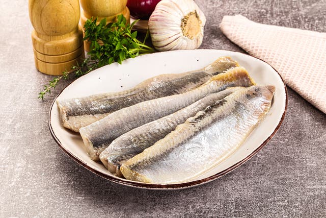 <p>Marinated salted herring fillet apetizer with oil</p>
