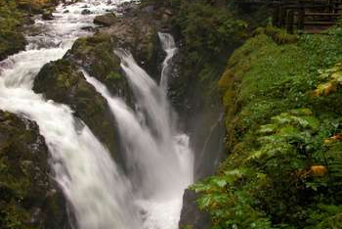 Teenager slips on rocks near 50-foot waterfall and falls to his death at Olympic National Park