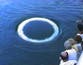 Humpback whales could be secretly trying to talk to humans, scientists say