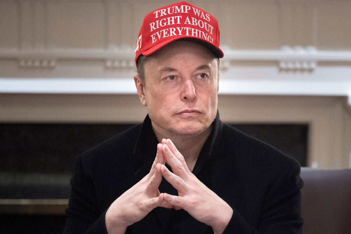 Democrats weigh in on whether Musk could switch to their party