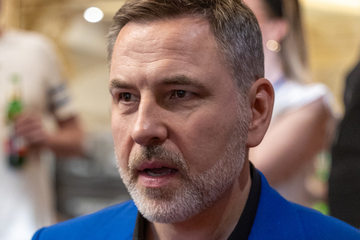 David Walliams ‘shocks’ audience with two Nazi salutes at Would I Lie to You? recording