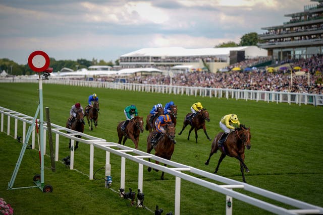<p>Rosallion (right in yellow) won The St James's Palace Stakes during day one of Royal Ascot in 2024</p>